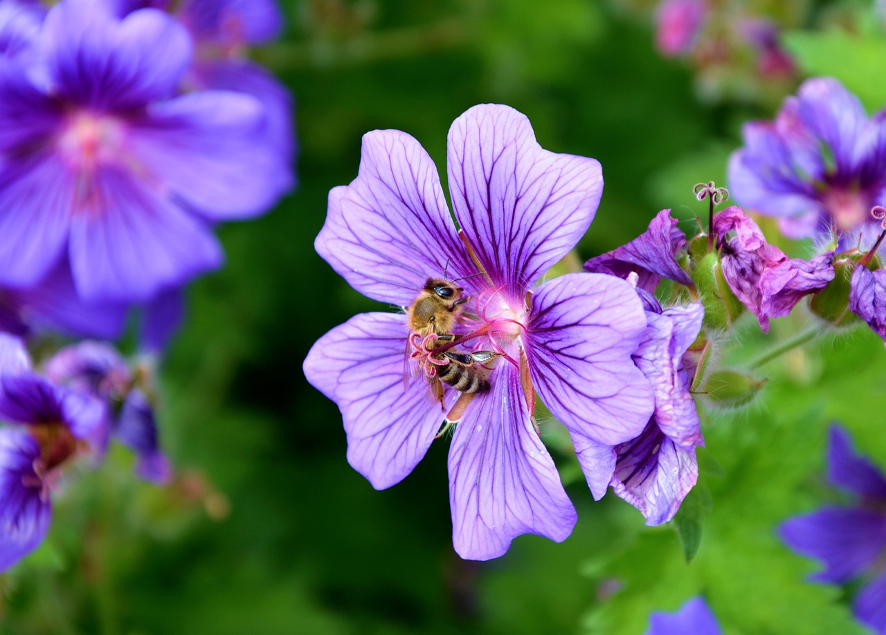 Get Buzzy: Bee Crafts for Kids